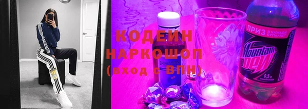 шишки Абаза