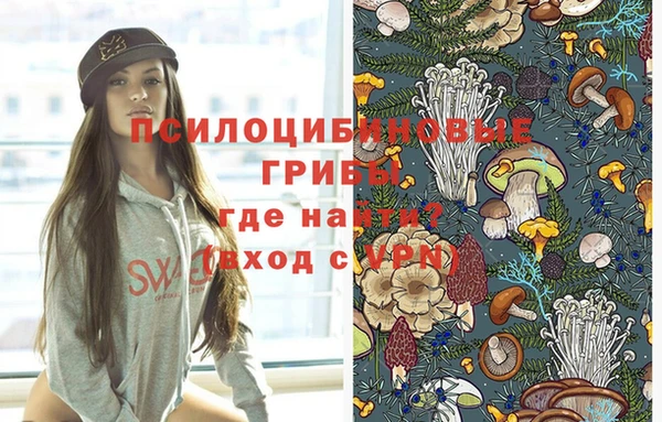 сатива Рославль