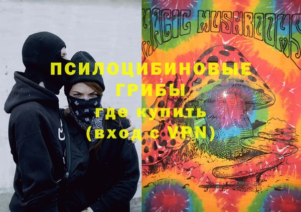 сатива Рославль