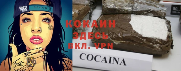 шишки Ростов