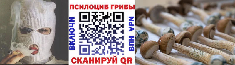 мега как зайти  Гусь-Хрустальный  Псилоцибиновые грибы мухоморы 