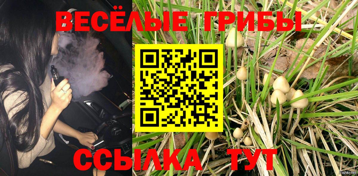 Псилоцибиновые грибы Psilocybe Гусь-Хрустальный