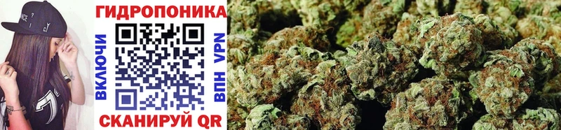 Бошки Шишки White Widow  Гусь-Хрустальный 